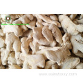 Chinese Dried Ginger whole